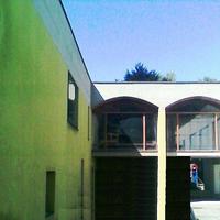 Parete di un palazzo rovinata dalla muffa
